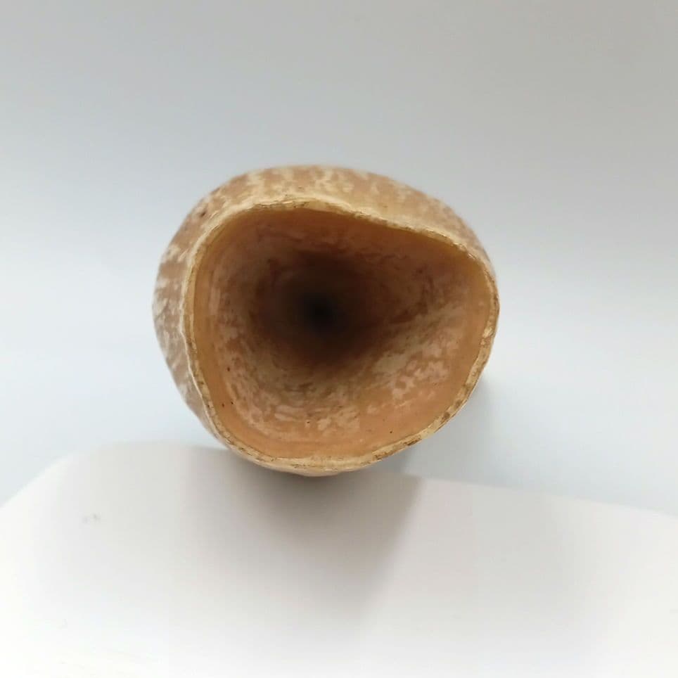 マッコウクジラ 歯 鯨歯 特大 422g 印材や工芸品の素材などに