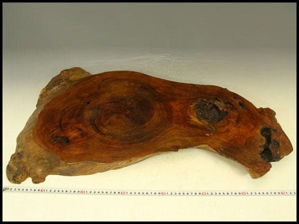 自然木 葡萄木 敷板 大判 74cmx42cm 花梨 紅木 銘木(A465)