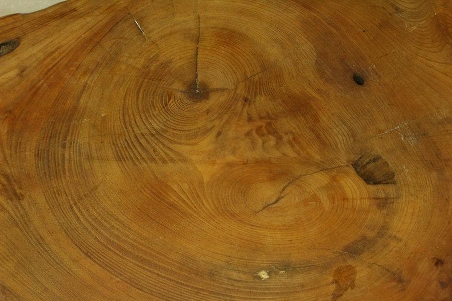 自然木 葡萄木 敷板 大判 74cmx42cm 花梨 紅木 銘木(A465)