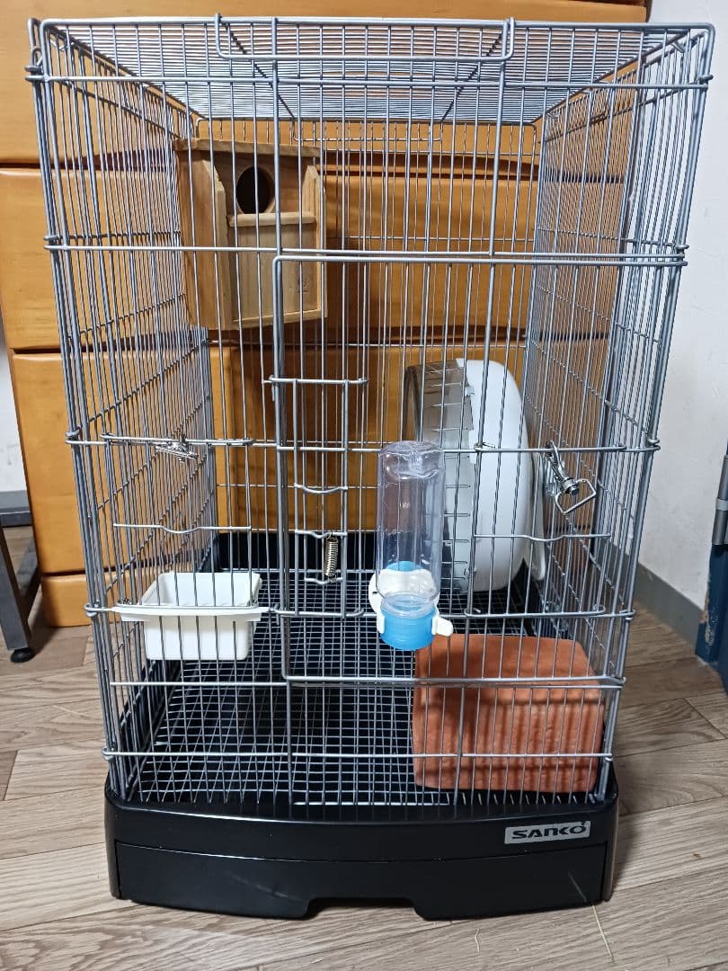 シマリス 飼育セット