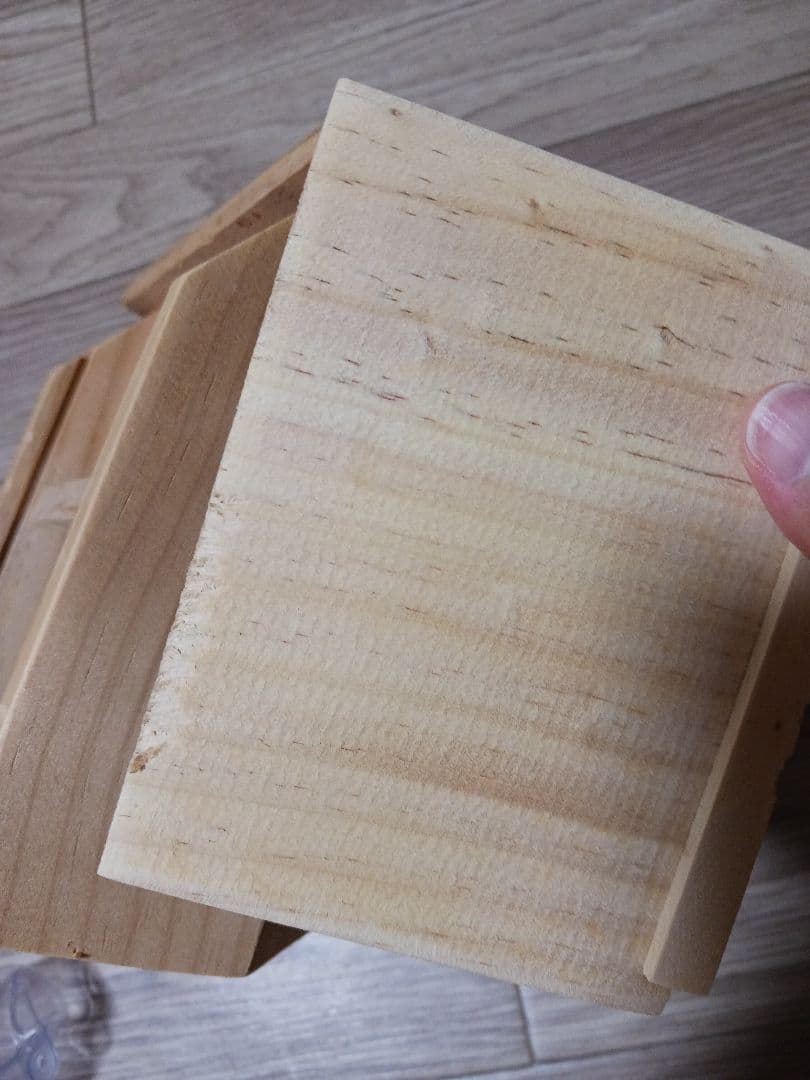 シマリス 飼育セット