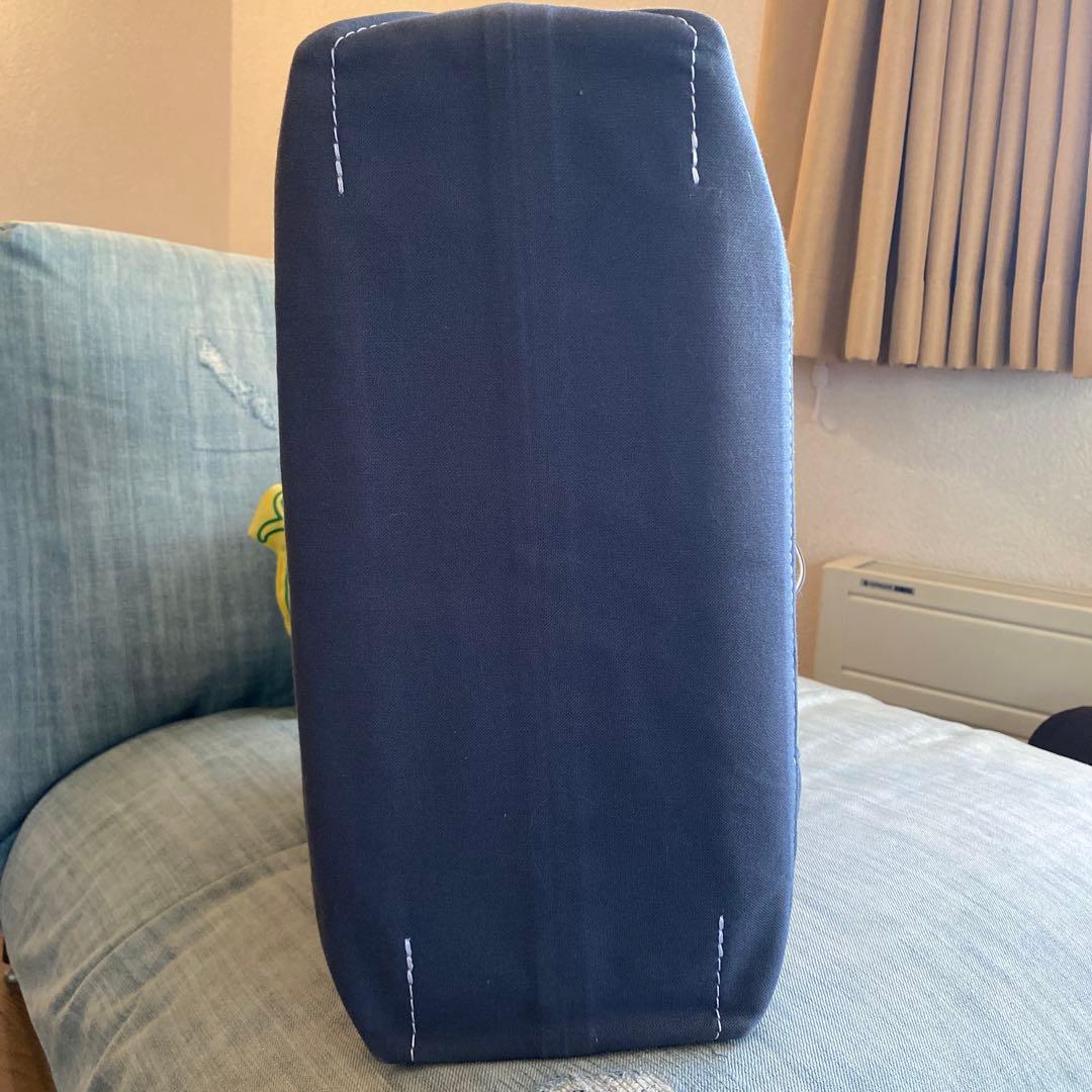 TEMBEAの愛犬用キャリーバッグ