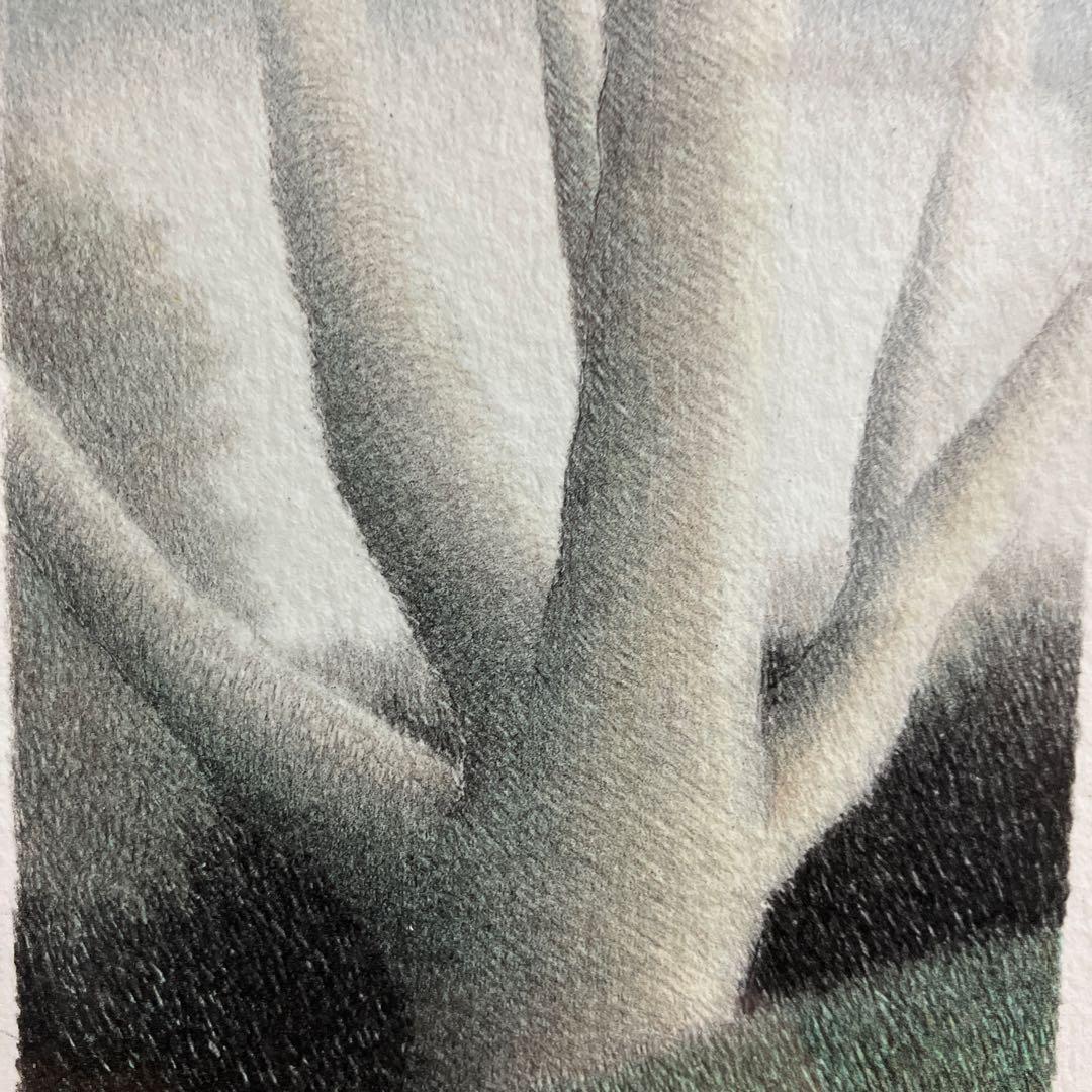 ロバート・キプニス　リトグラフ [エッセンス(III)]ED50/175