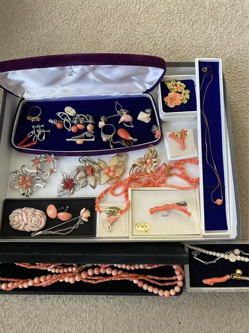 珊瑚、珊瑚風、アクセサリープロチまとめ（205）