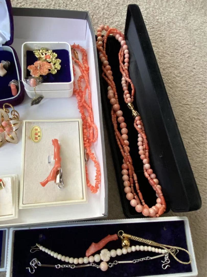 珊瑚、珊瑚風、アクセサリープロチまとめ（205）