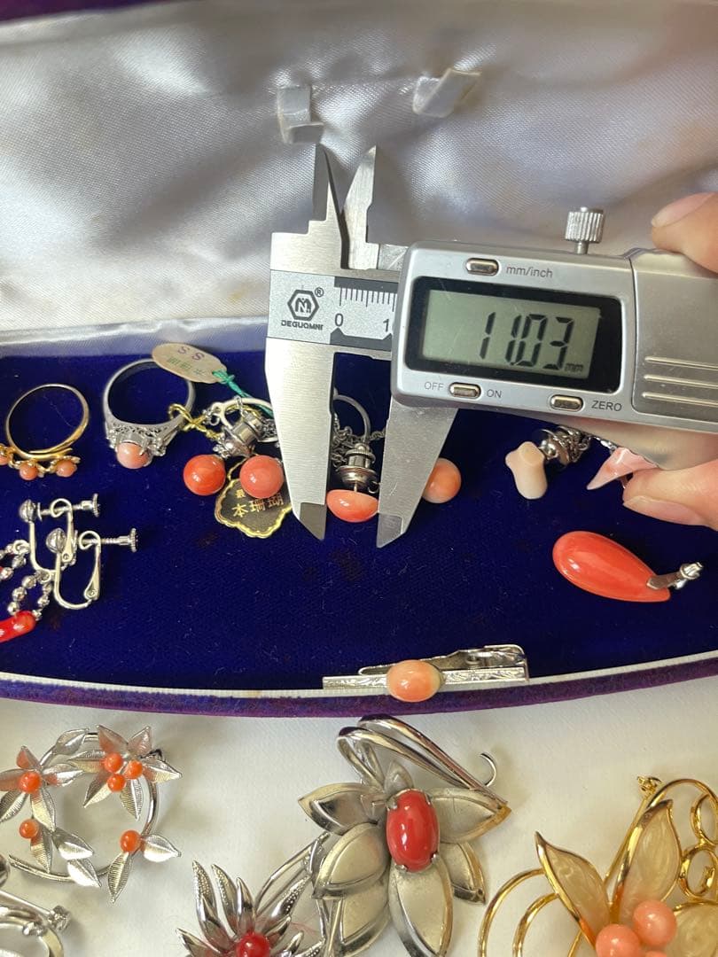 珊瑚、珊瑚風、アクセサリープロチまとめ（205）