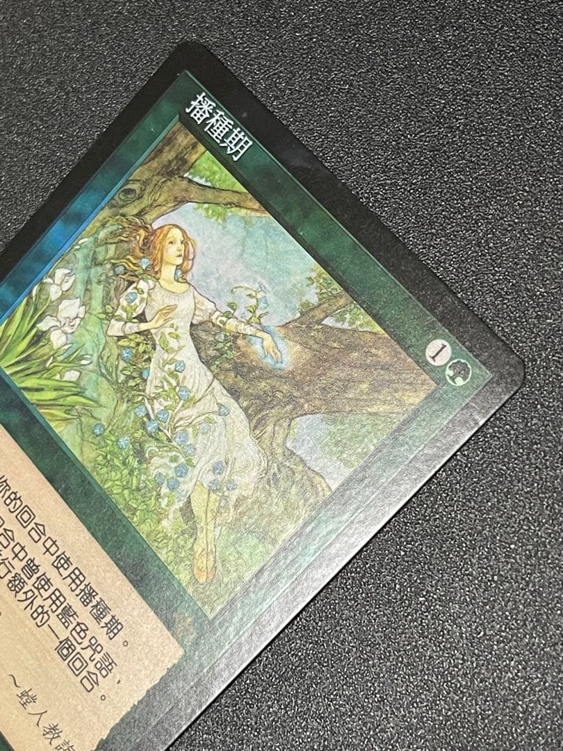 種蒔き時 seedtime 中国語 foil