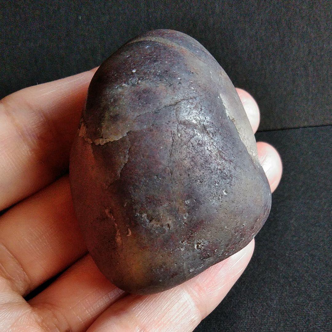 恐竜　化石　標本　胃石　ジュラ紀　52mm