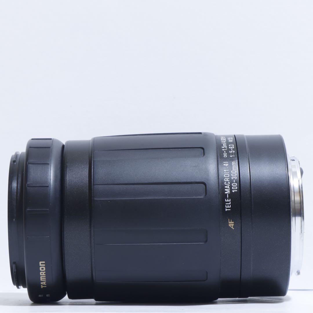 ◇大迫力300mm超望遠◇ TAMRON 100-300mm for Canon