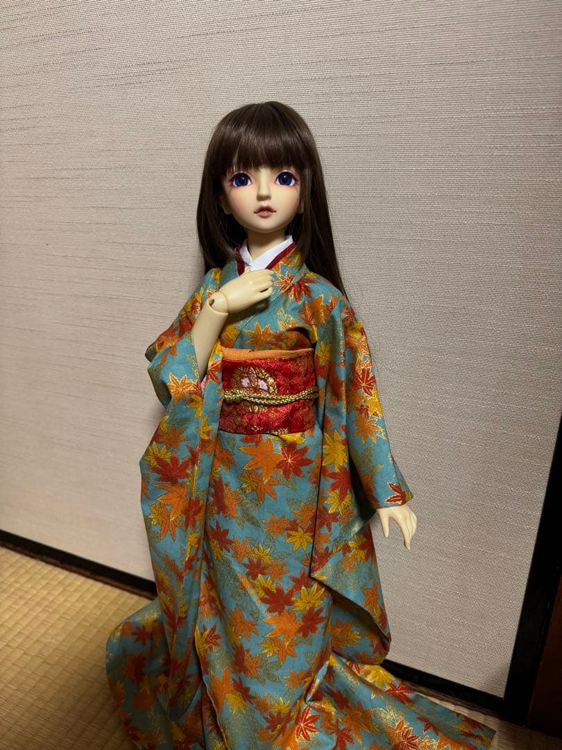 羅紗SD.DD他対応　紅葉柄振袖セット