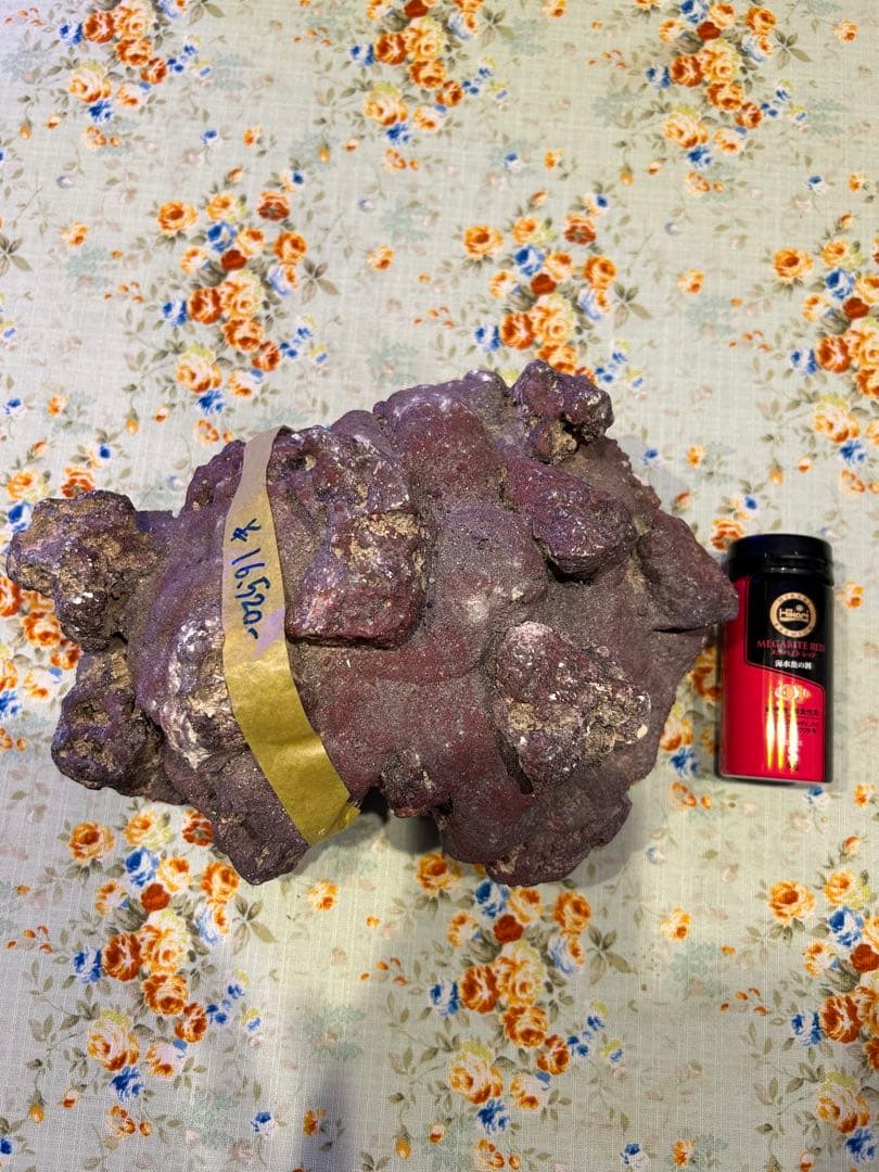 ライブロック新品未使用　休眠バクテリア付き　ドーム型　横幅 25cm、4kg