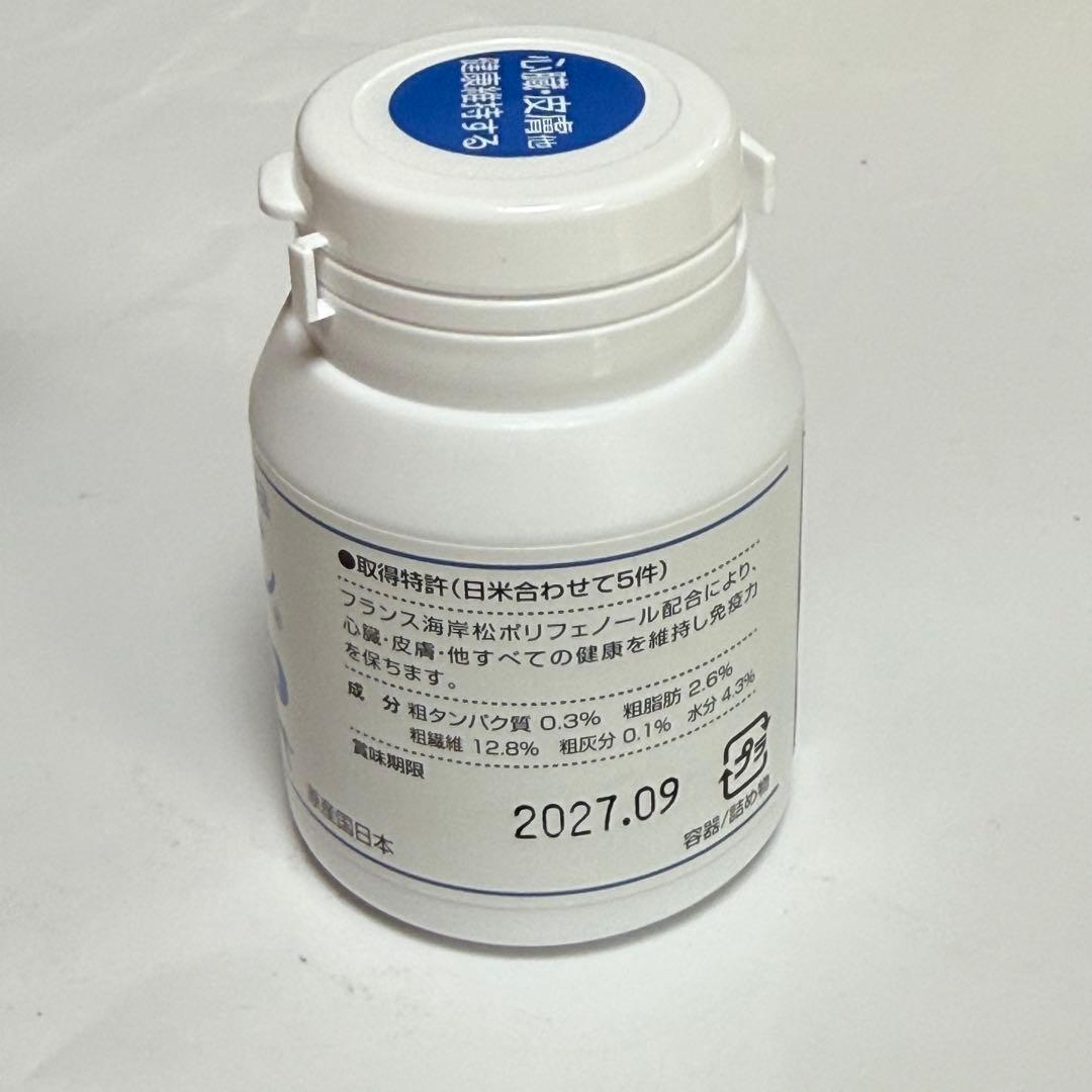 パンフェノン 120粒2個 新品未開封