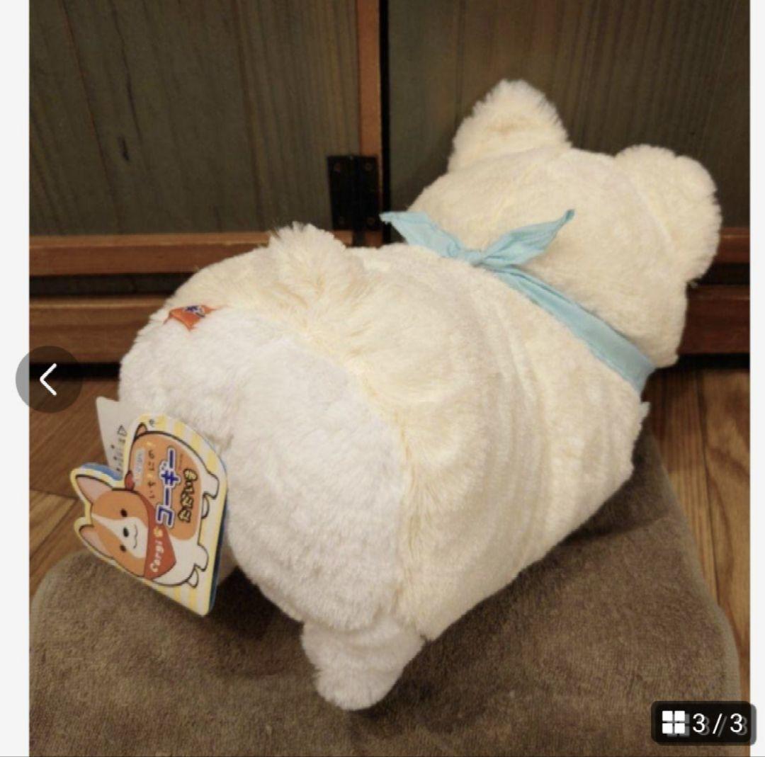 いち！にの！コーギー ただいま  むぎちゃん JB