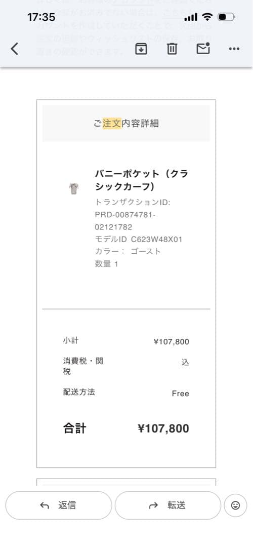 ロエベ　バニーポケット　ゴースト