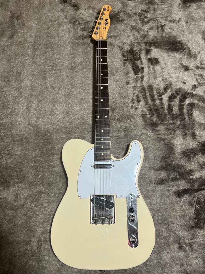 ギター FUJIGEN Basic Classic BCTE100RBD-VWH/01