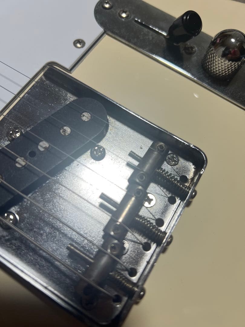 ギター FUJIGEN Basic Classic BCTE100RBD-VWH/01