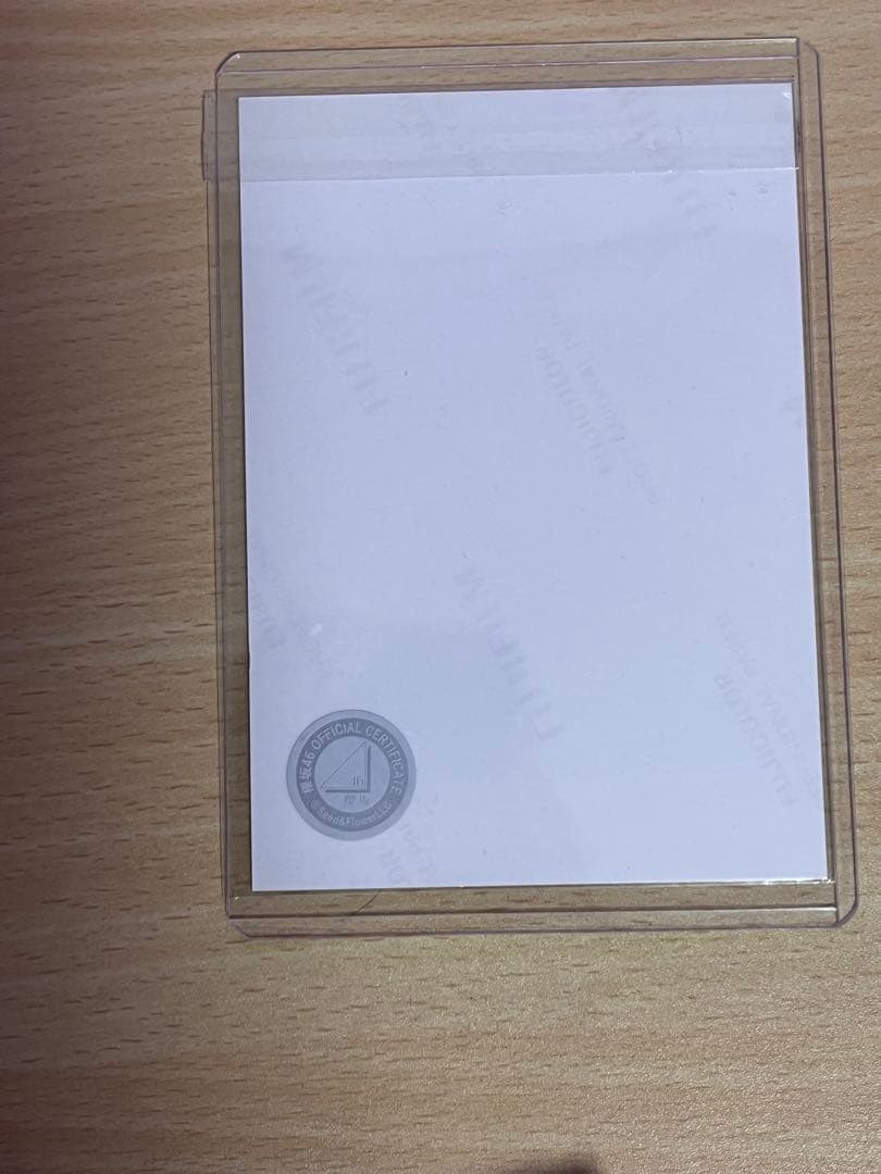 櫻坂46 生写真 直筆サイン　2025 サンタ衣装　佐藤愛桜　ヒキ