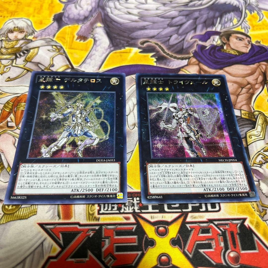 テラナイト　アジアシク　セット