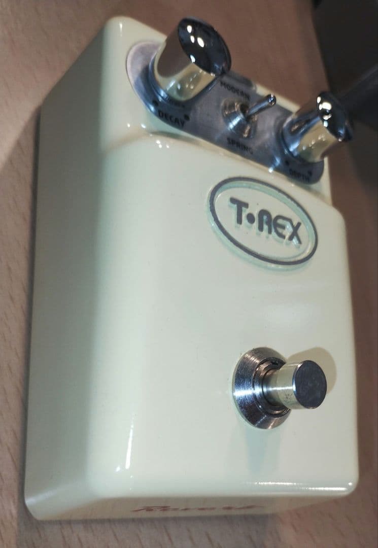 T-REXリバーブ　DEADENDのYOUさん所有機