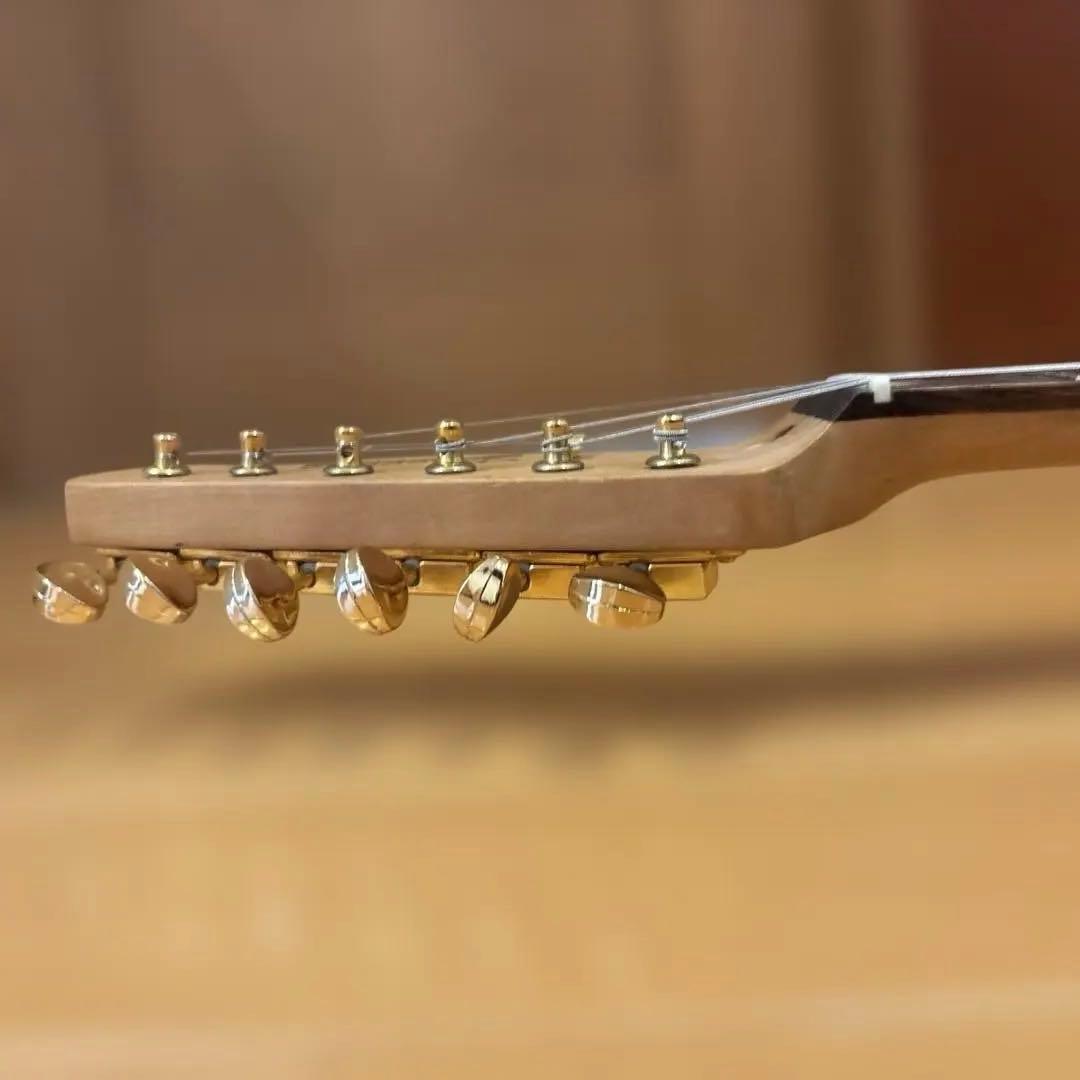 【ハルス】Bacchus Universe テレキャス ゴールドパーツ仕様