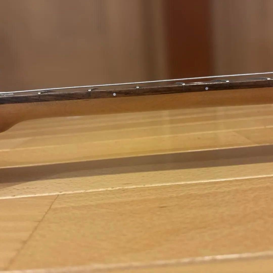 【ハルス】Bacchus Universe テレキャス ゴールドパーツ仕様