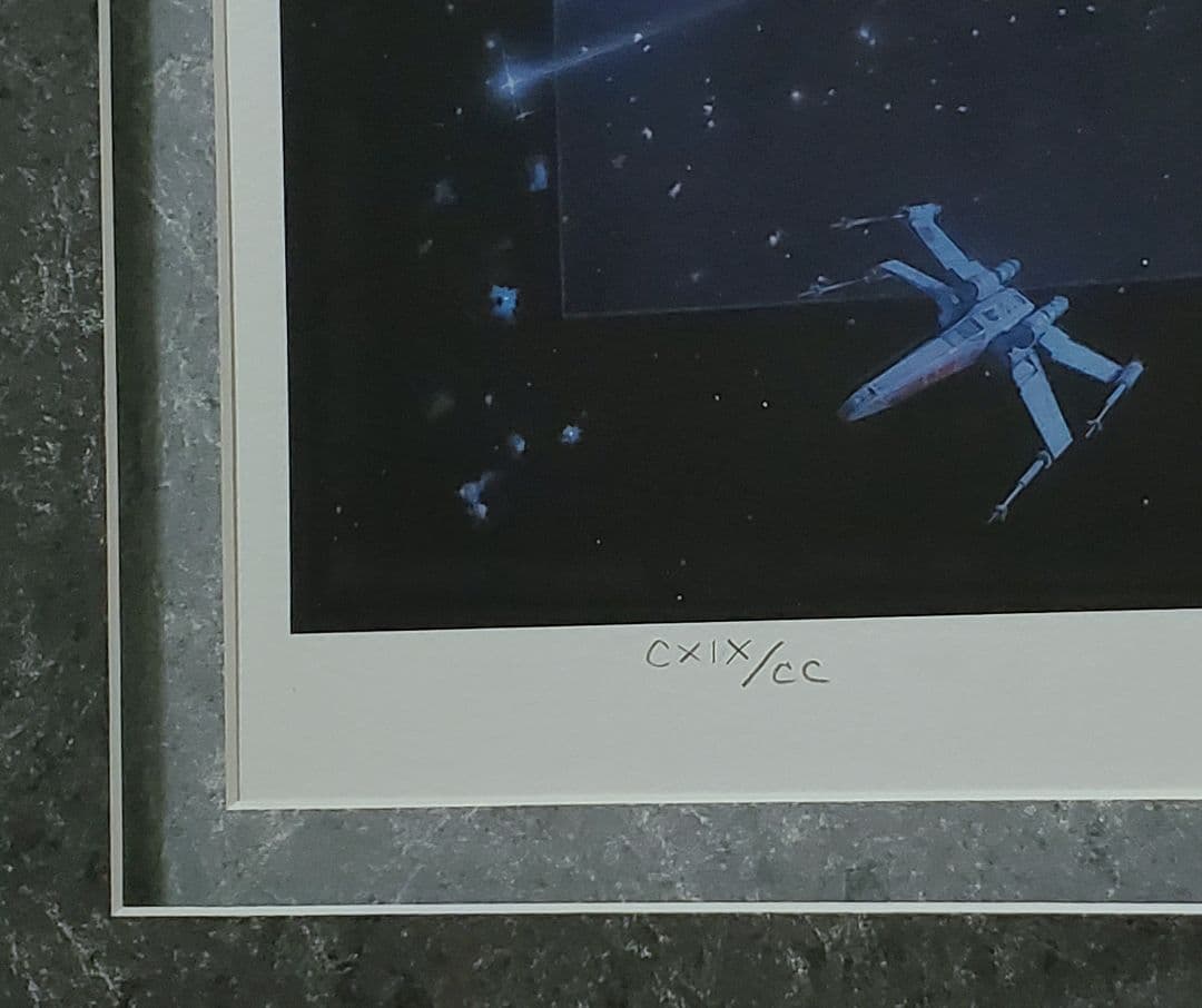 追悼【ドゥルー・ストゥルーザン】直筆サイン入『スター・ウォーズ☆トリロジーSP』