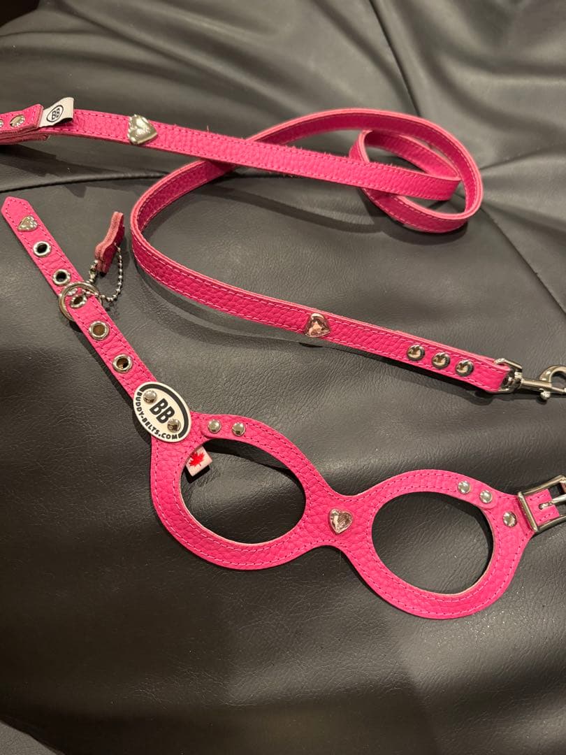 BB バディーベルト2 ピンク ハーネスリードセット