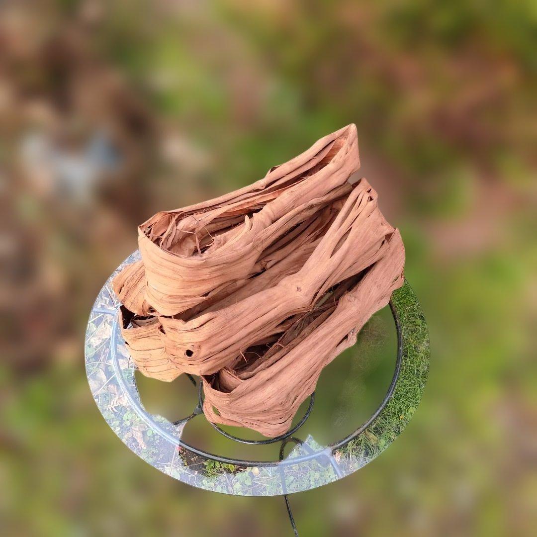 さーちゃん 青森岩木山産 山葡萄 皮 樹皮 約2kg+B品3kg