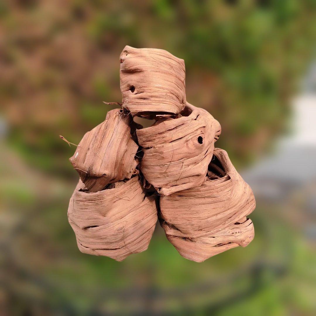 さーちゃん 青森岩木山産 山葡萄 皮 樹皮 約2kg+B品3kg