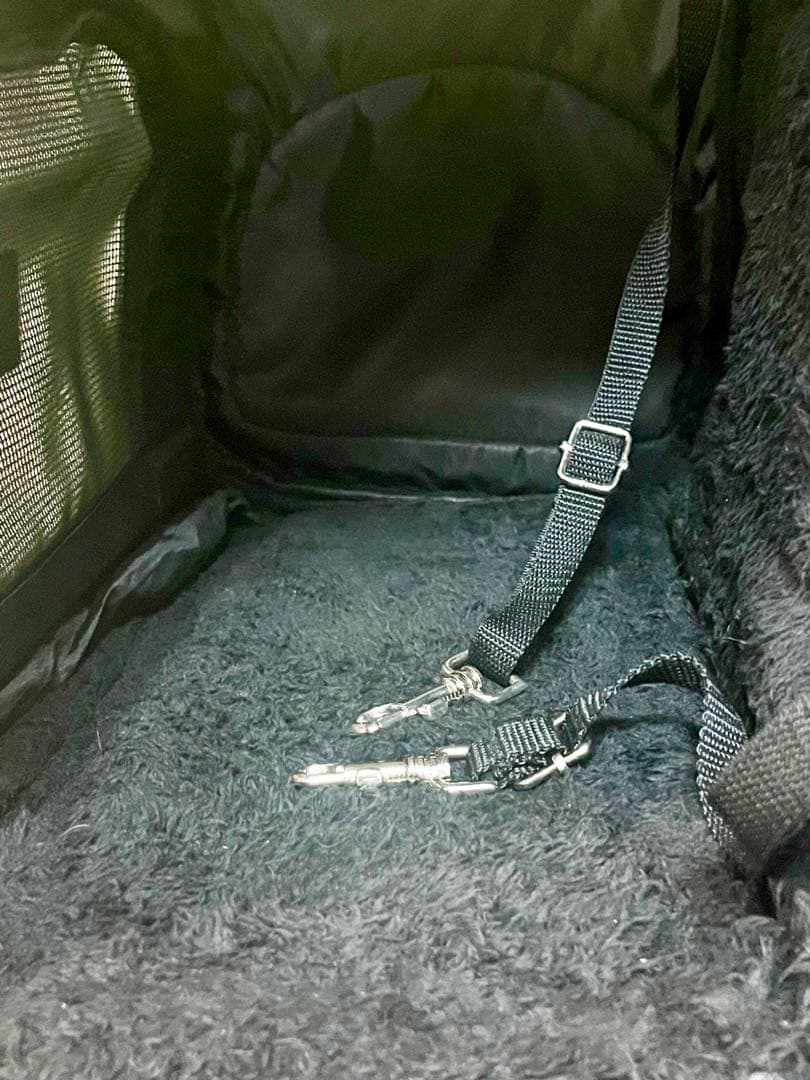 エアバギーフィット　Airbuggy fitt カラー:アースブラック