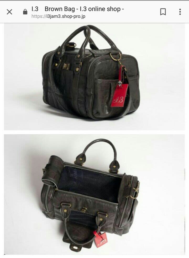 高級ペットキャリーバッグ　アイドットスリー　Ｍサイズ