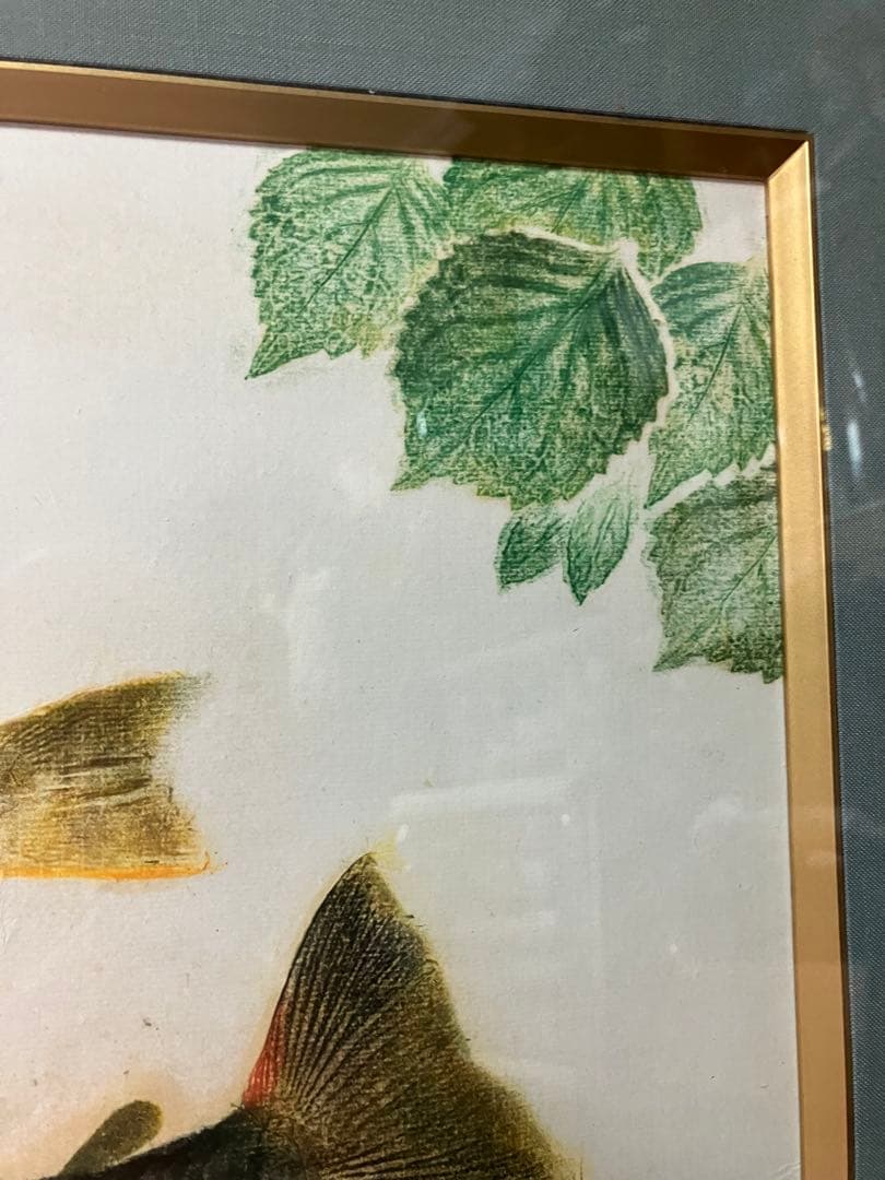 山本龍香　美術魚拓　署名あり