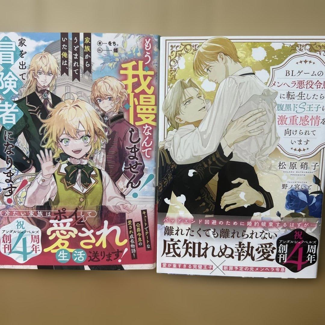 bl 小説纏め売り　15冊セット！