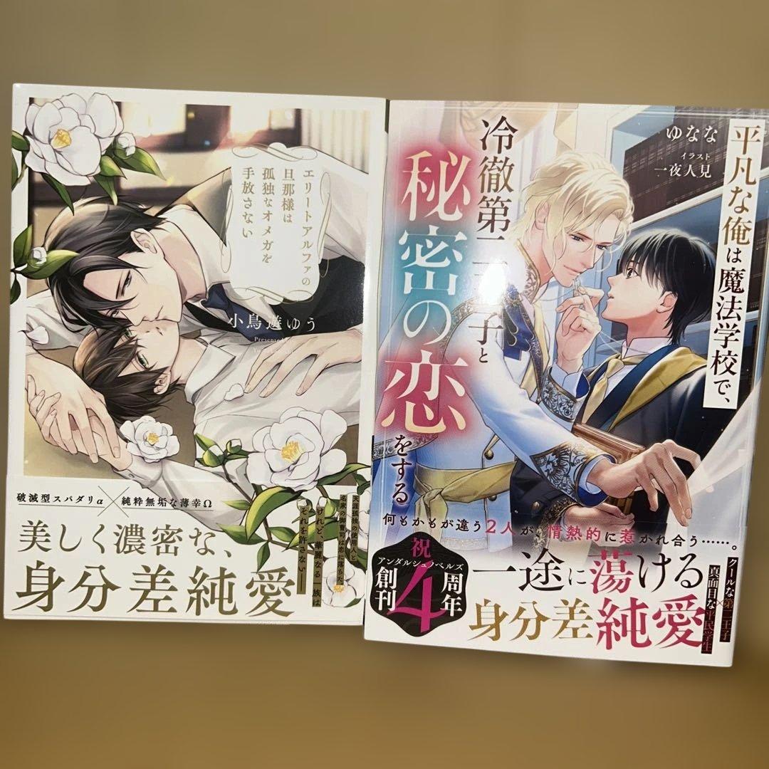 bl 小説纏め売り　15冊セット！