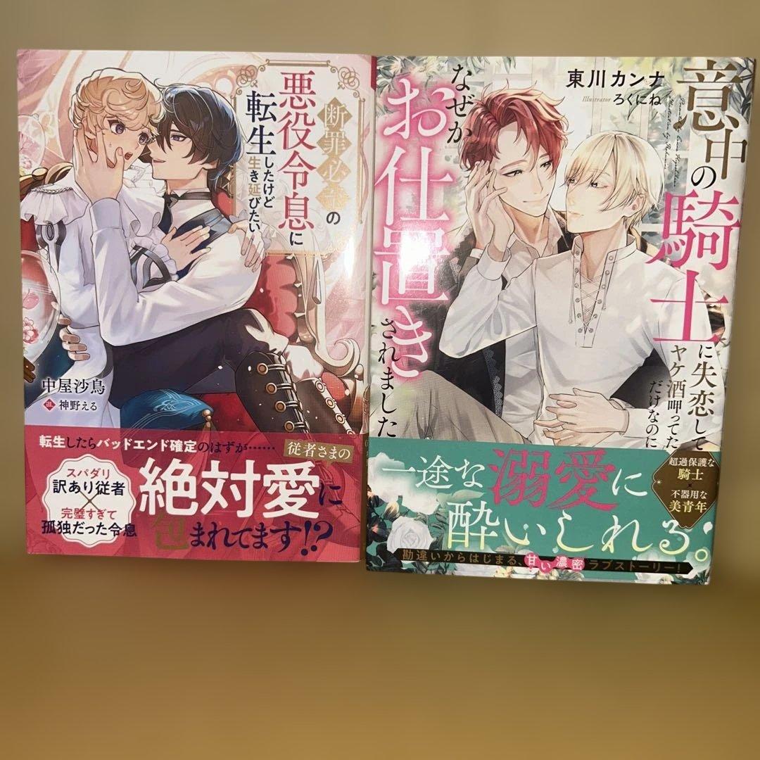 bl 小説纏め売り　15冊セット！