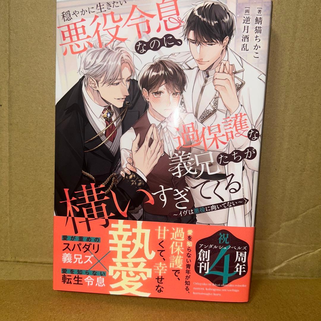 bl 小説纏め売り　15冊セット！
