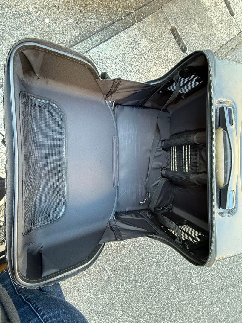 GEX OSOTOキャリー roller L