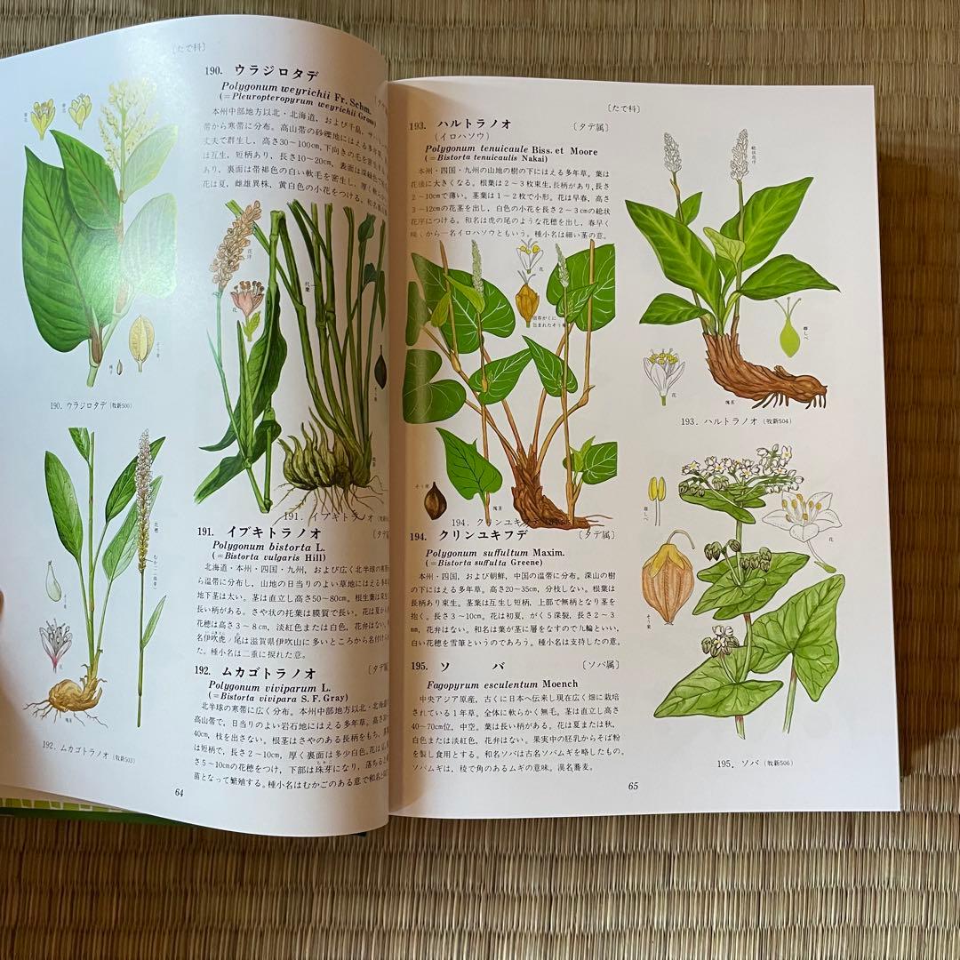 原色牧野植物大圖鑑　植物図鑑3冊セット