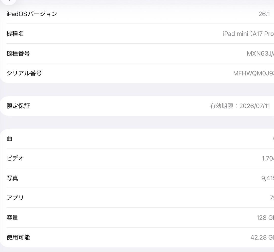 【極美品】iPad mini 7 128GB スペースグレイ