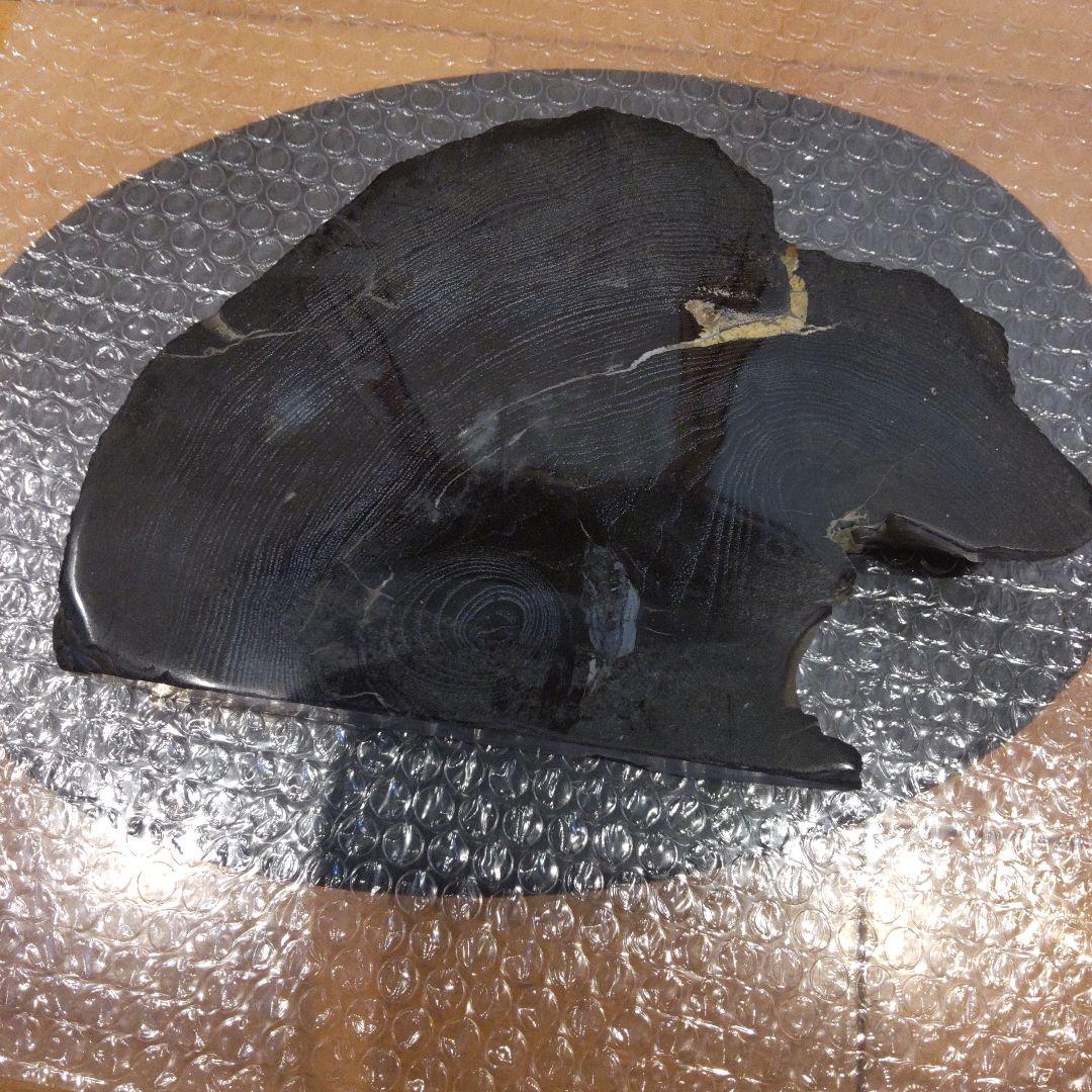 #化石(樹木)６月 価格