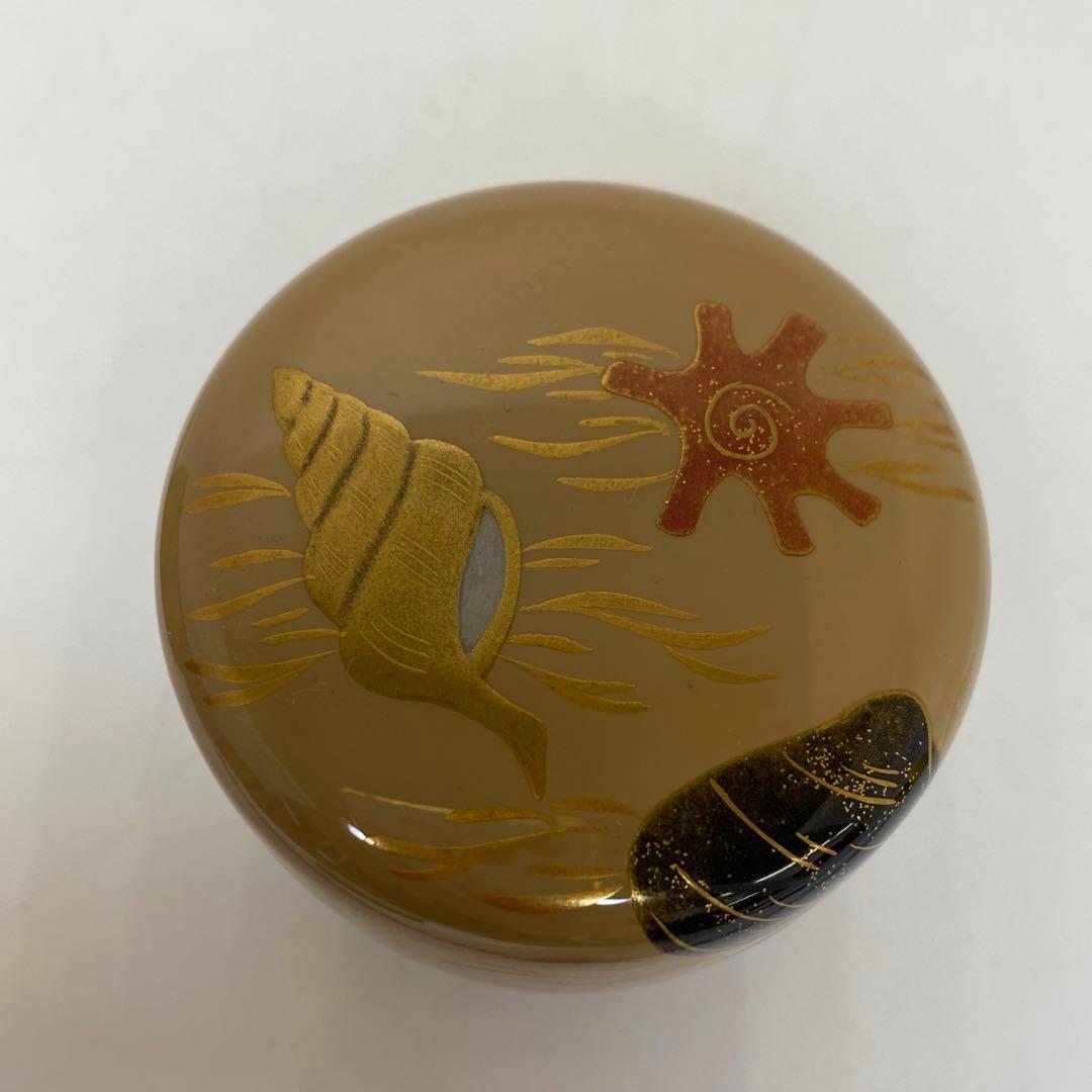 ☆茶3 倉山直彦　海松貝　中棗　幅約6.7㎝　共箱　東さ7-1111③