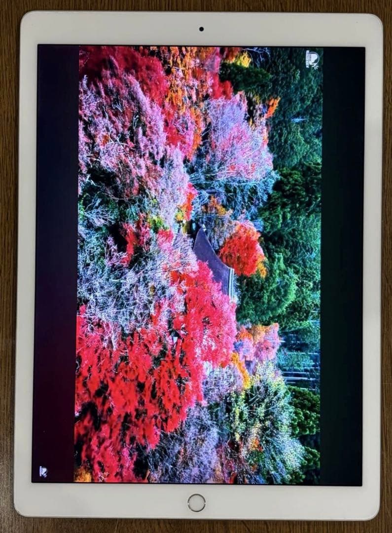 iPad Pro 12.9インチ 第2世代 256GB