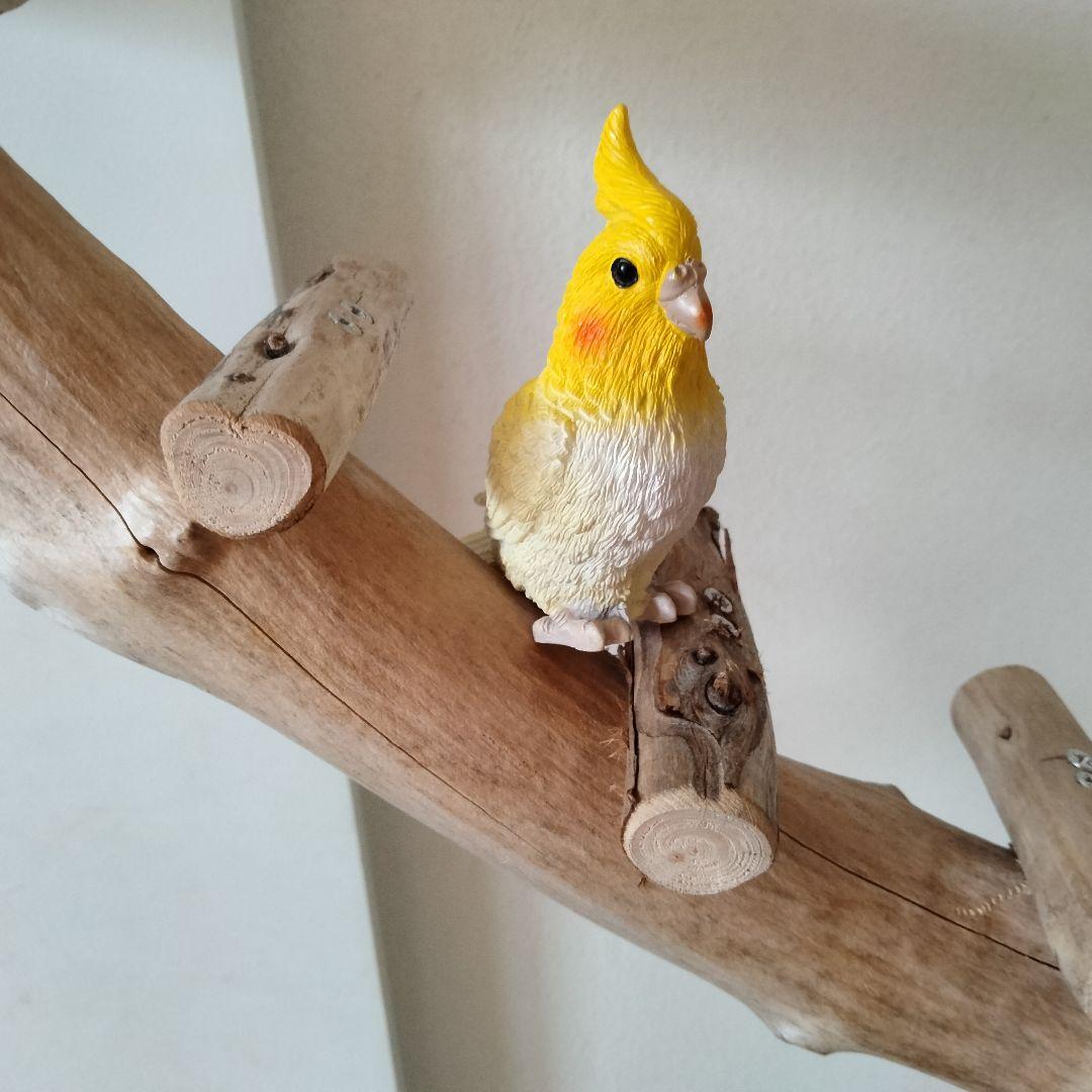 ocean バードアスレチックジム 天然木 自然木 流木 止まり木 インコ