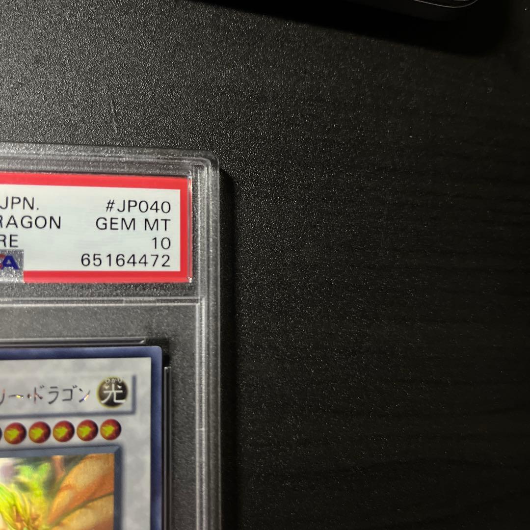 PSA10 エンシェント・フェアリー・ドラゴン ホロ ANPR-JP040