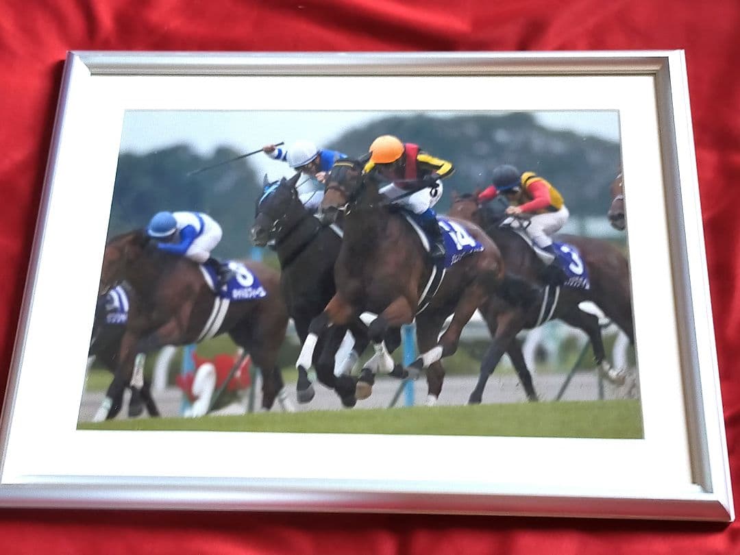 ◆　競馬　JRA　◆　ジェンティルドンナ　◆　３冠目　秋華賞　◆　フォト　◆