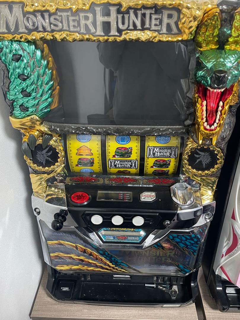 モンスターハンター　月下雷鳴