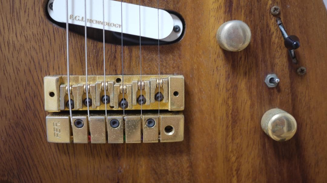 FERNANDES REVOLVER FR-100 モンキーポッド