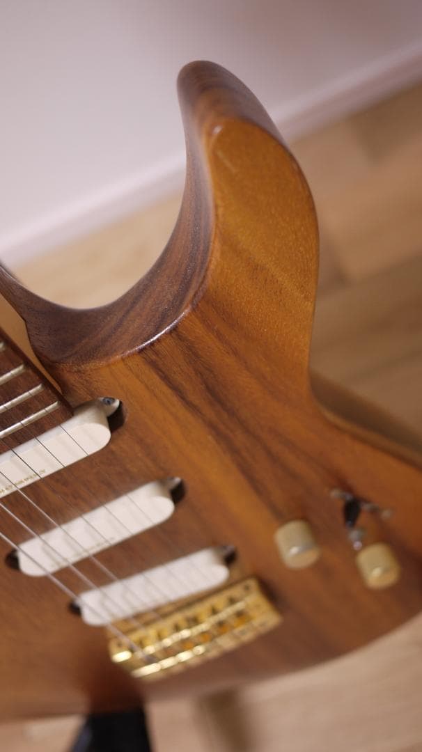 FERNANDES REVOLVER FR-100 モンキーポッド