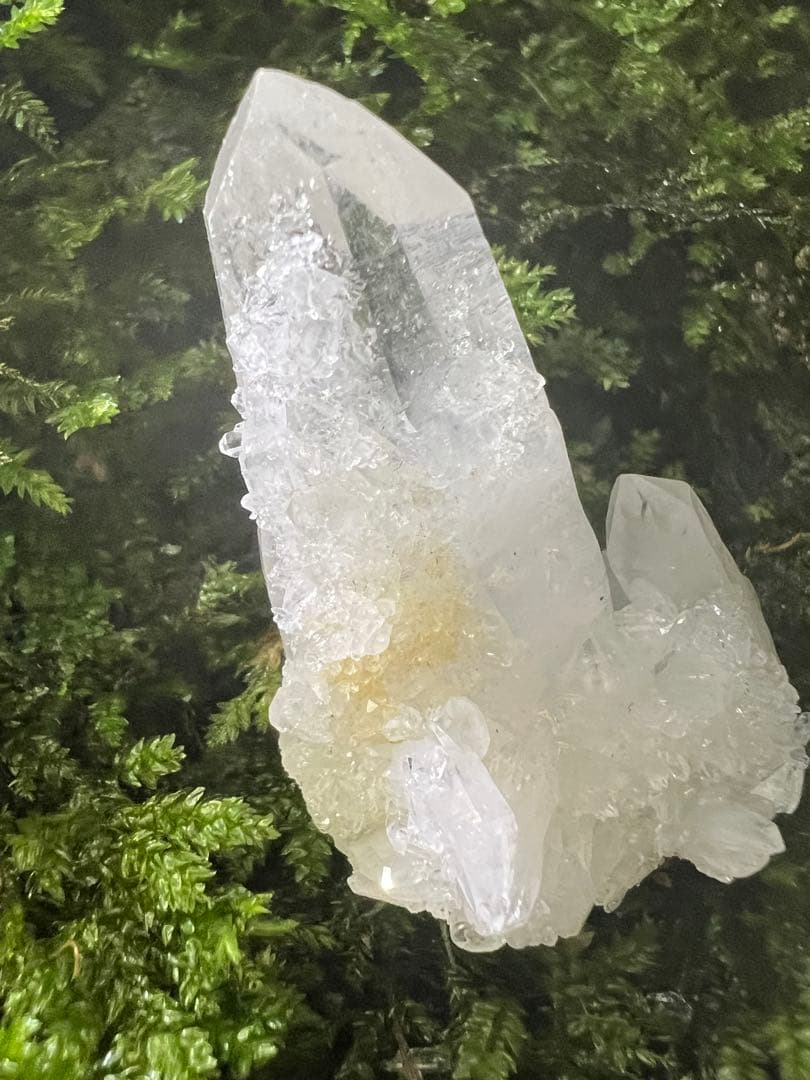 龍脈の精髄 九州産両剣水晶＋クラスター付き＋虹入り 【保護猫活動支援】