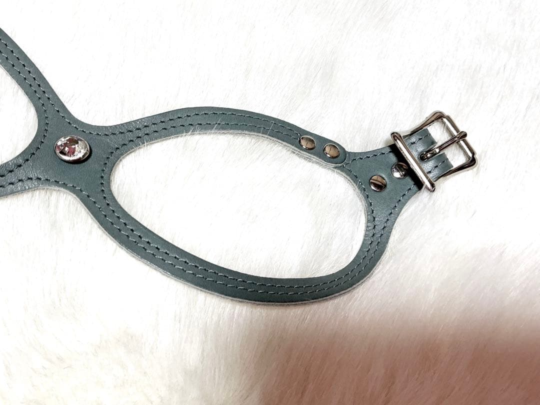 BUDDY BELT 3.5 ブルーグレーラインストーン付き